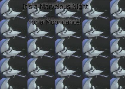 Moon Man's Marvelous Night