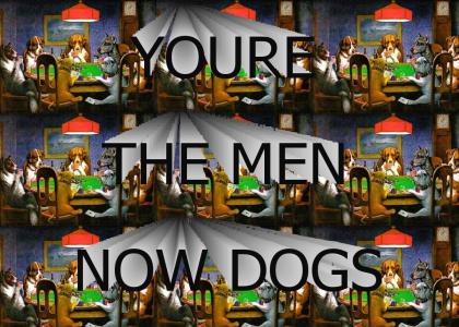 You're The Men Now Dogs