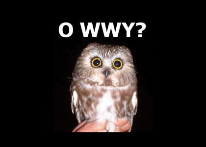 O'rly baby owlets