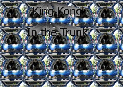 King Kong in the Trunk