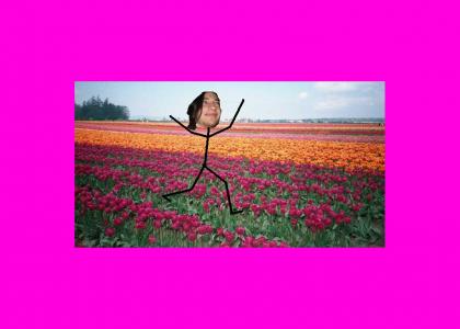 Jack gayin out in a field of tulips
