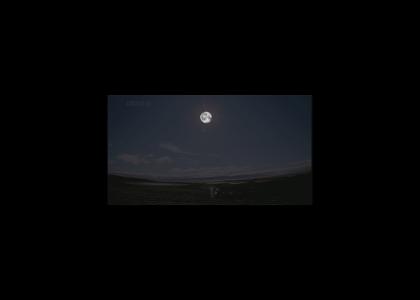 PTKFGS:24 Hours of Moonlight