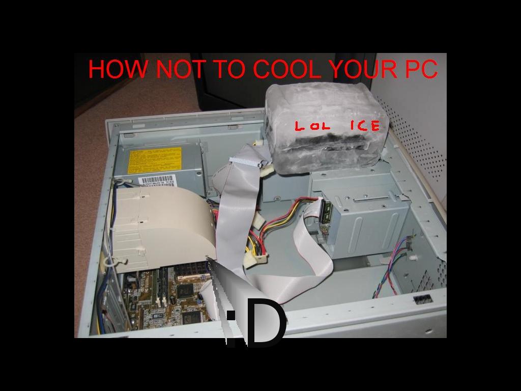 lolcomputer