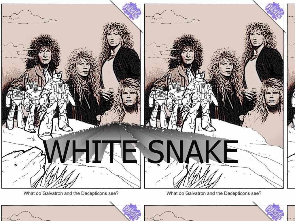 whitesnaketransform