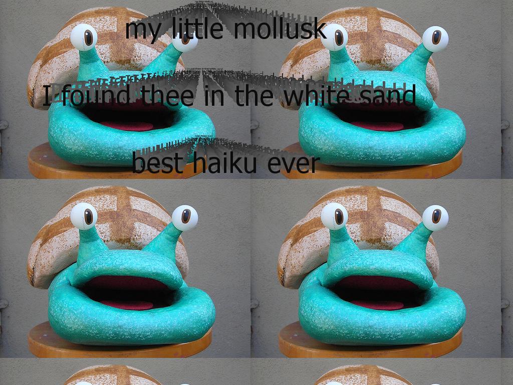 mymollusk