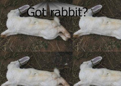 Got rabbit?