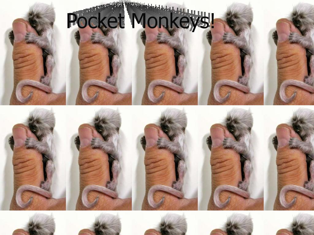 pocketmonkeys