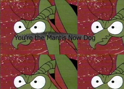 You're the Mantis Now Dog
