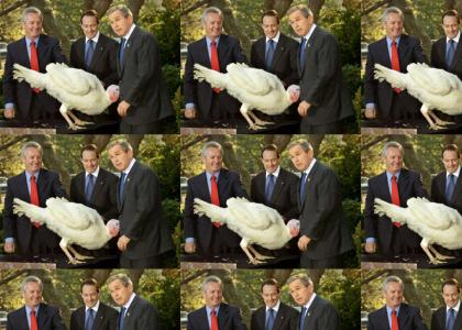 He sure loves turkeys...