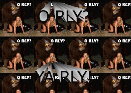 Yiffy Owl Porn