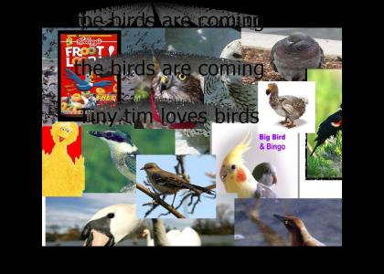 the birds are coming