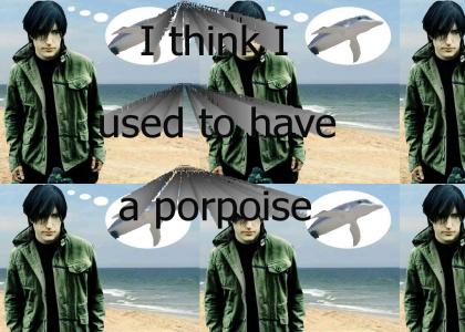 I think I used to have a porpoise...