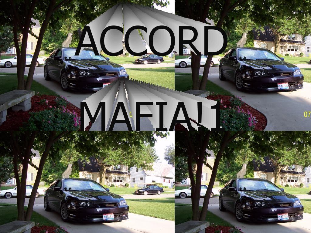 accordmafia