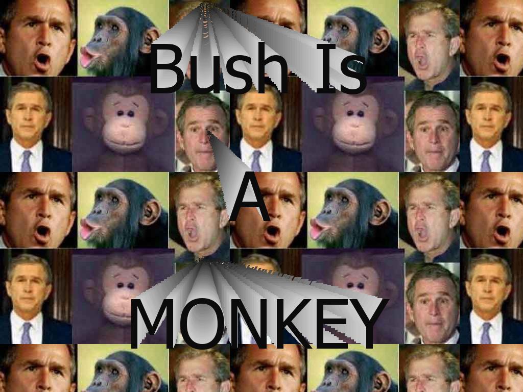 monkeybushman