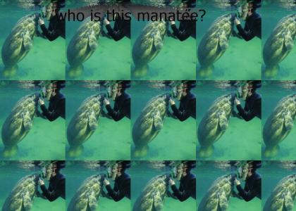 who is this manatee?