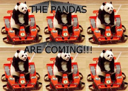The Panda Song