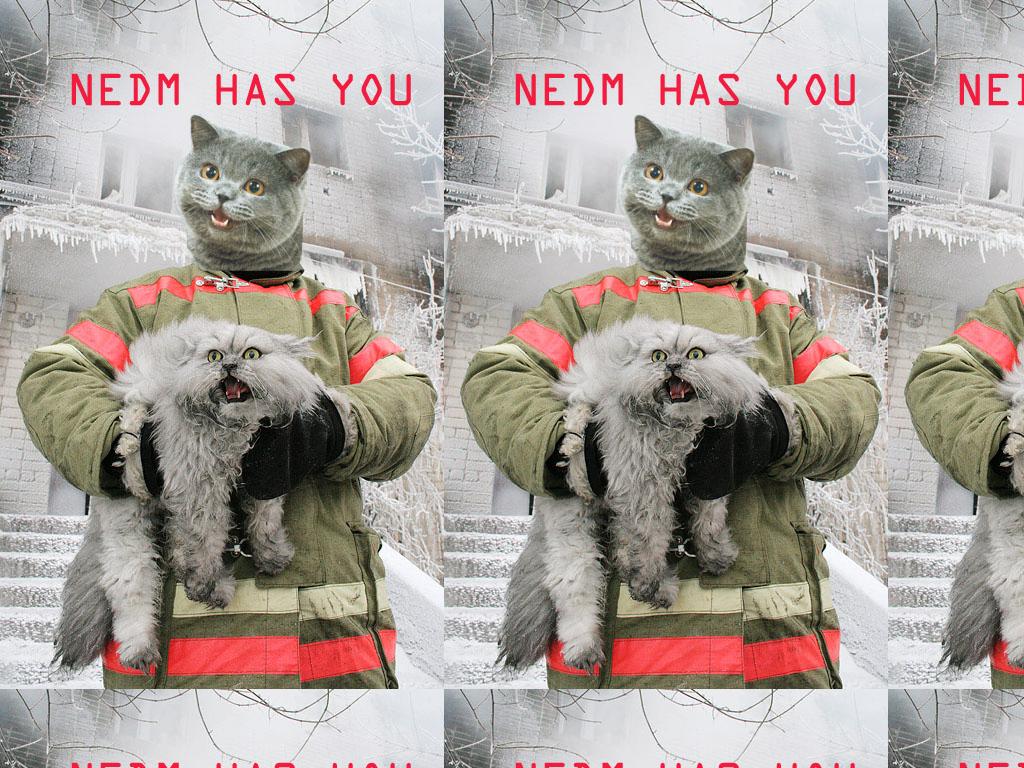 nedmhasyou