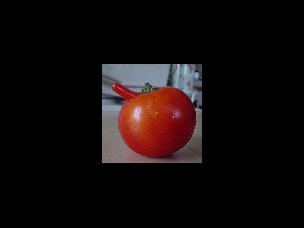 tomatoporn