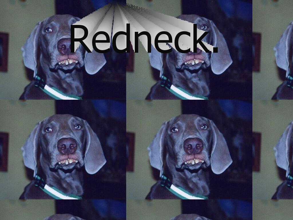 RedneckDog