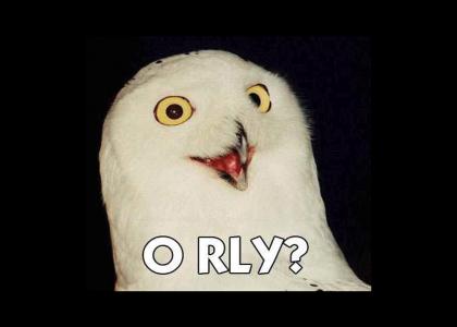 ORLY owl denied