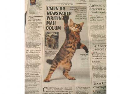 lolcats in news