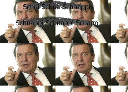 Gerhard Schrödi