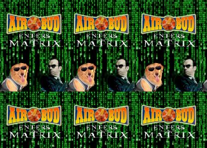 Air Bud Enters the Matrix