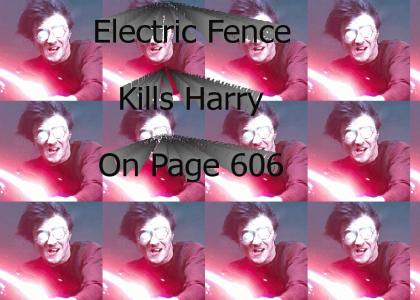Harry Potter whizzes on the Electric Fence