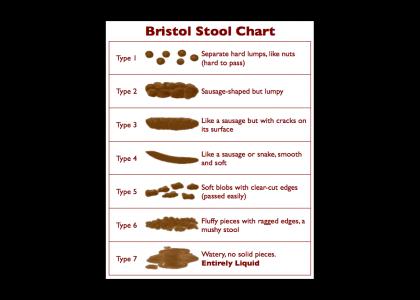 Bristol Stool Scale