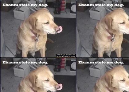 Ebaums stole my dog