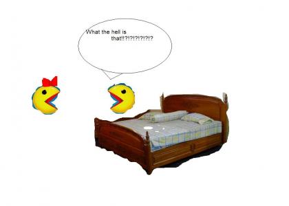 i slept with pacmans wife!