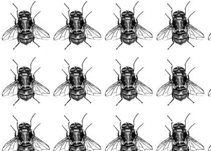 throne of flies