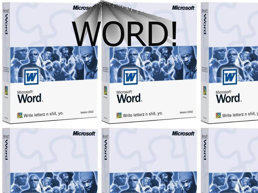 MircoWord