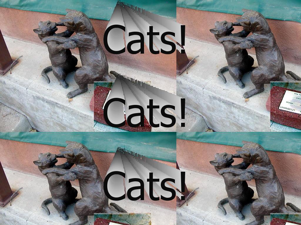 tallcats