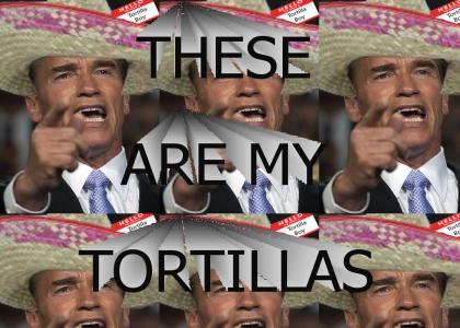 Arnold Loves Tortillas