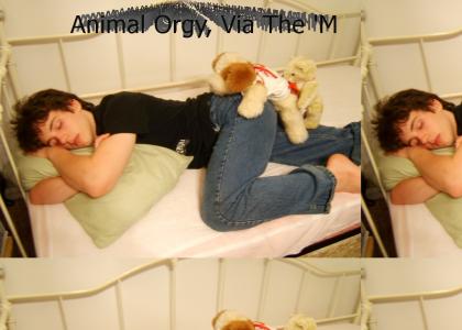 Animal Orgy Via MM