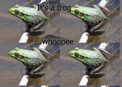 It's me, uhh frog..frog?