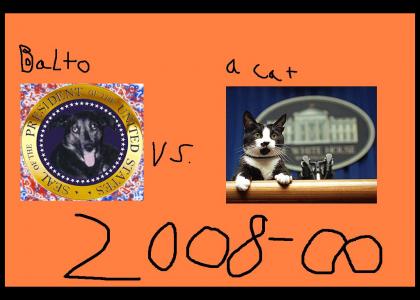 Vote Balto or A Cat! 2008-forever