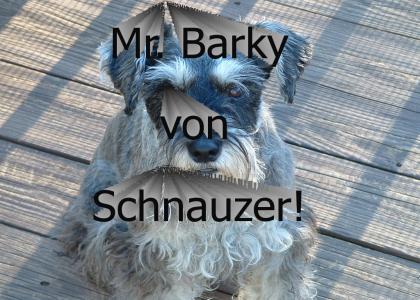 Mr. Barky von Schnauzer