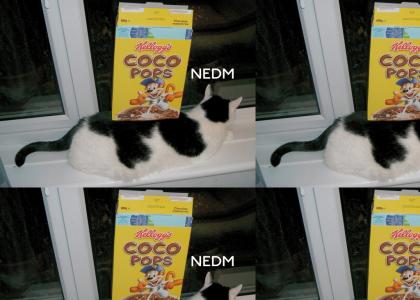 NEDM: Coco Pops