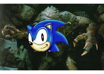 Sonic Gives advice about the Rancor