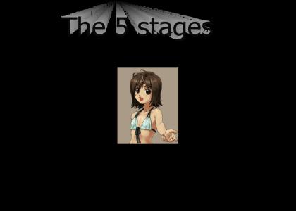 The 5 stages