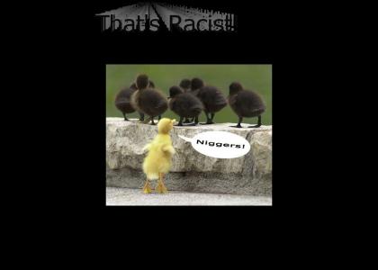 Racist Duckling