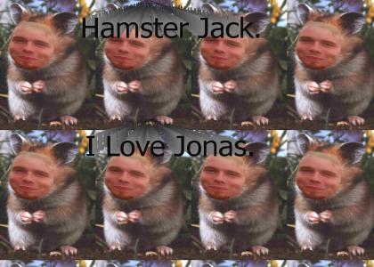 hamsterjack