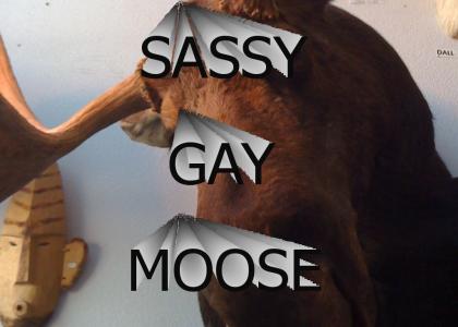 SASSY GAY MOOSE