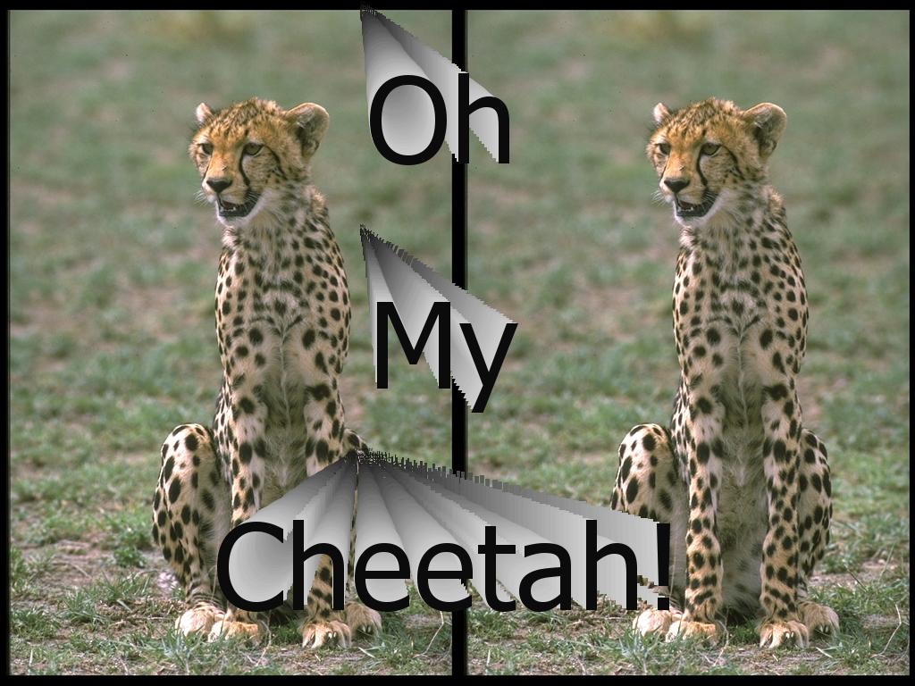 ohmycheetah