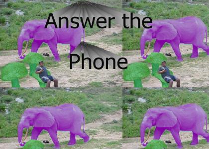 Answer the Phone