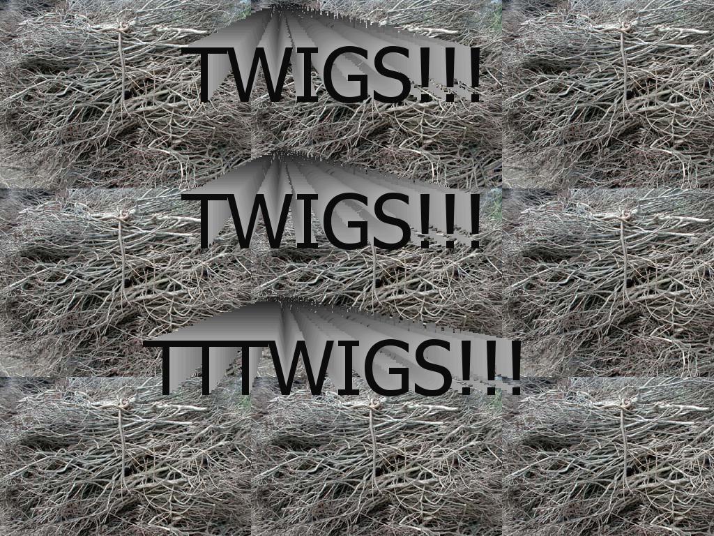 TWIGS