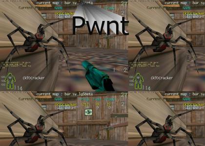 Giant Spider Pwnage