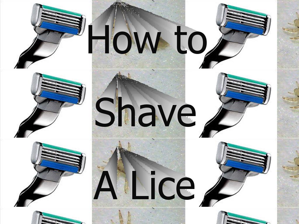 shavelice